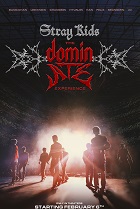 STRAYKIDS: THE DOMINATE EXP